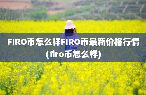 FIRO币怎么样FIRO币最新价格行情(firo币怎么样)