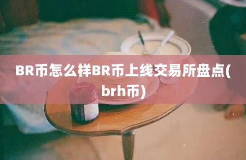 BR币怎么样BR币上线交易所盘点(brh币)