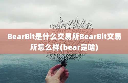 BearBit是什么交易所BearBit交易所怎么样(bear是啥)