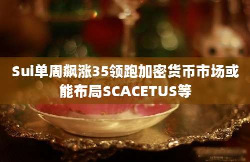 Sui单周飙涨35领跑加密货币市场或能布局SCACETUS等