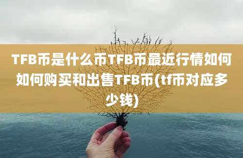 TFB币是什么币TFB币最近行情如何如何购买和出售TFB币(tf币对应多少钱)