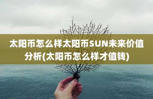 太阳币怎么样太阳币SUN未来价值分析(太阳币怎么样才值钱)