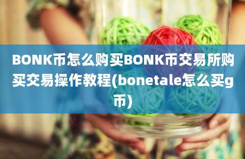 BONK币怎么购买BONK币交易所购买交易操作教程(bonetale怎么买g币)