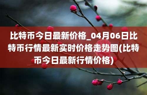 比特币今日最新价格_04月06日比特币行情最新实时价格走势图(比特币今日最新行情价格)