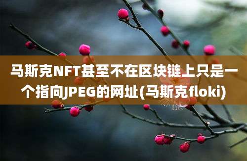 马斯克NFT甚至不在区块链上只是一个指向JPEG的网址(马斯克floki)