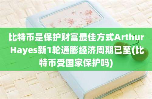 比特币是保护财富最佳方式Arthur Hayes新1轮通膨经济周期已至(比特币受国家保护吗)