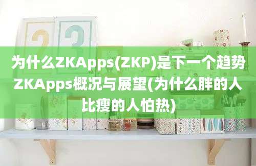 为什么ZKApps(ZKP)是下一个趋势ZKApps概况与展望(为什么胖的人比瘦的人怕热)