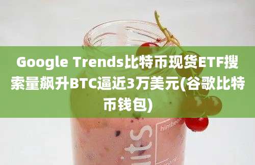 Google Trends比特币现货ETF搜索量飙升BTC逼近3万美元(谷歌比特币钱包)