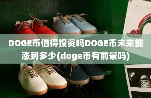 DOGE币值得投资吗DOGE币未来能涨到多少(doge币有前景吗)