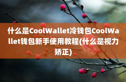 什么是CoolWallet冷钱包CoolWallet钱包新手使用教程(什么是视力矫正)