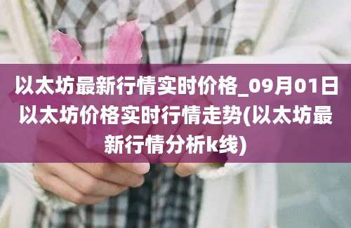 以太坊最新行情实时价格_09月01日以太坊价格实时行情走势(以太坊最新行情分析k线)