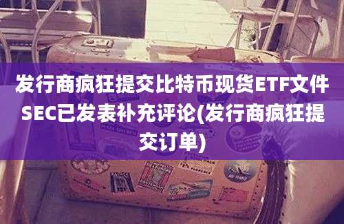 发行商疯狂提交比特币现货ETF文件SEC已发表补充评论(发行商疯狂提交订单)