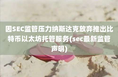 因SEC监管压力纳斯达克放弃推出比特币以太坊托管服务(sec最新监管声明)