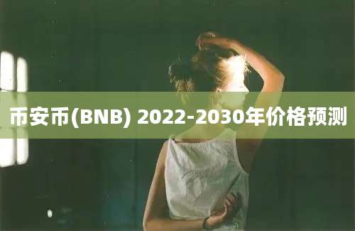 币安币(BNB) 2022-2030年价格预测