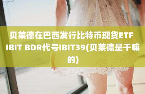 贝莱德在巴西发行比特币现货ETF IBIT BDR代号IBIT39(贝莱德是干嘛的)