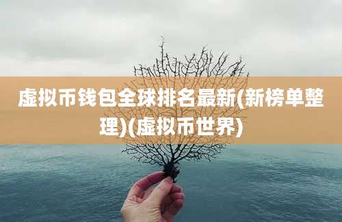 虚拟币钱包全球排名最新(新榜单整理)(虚拟币世界)