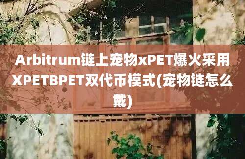 Arbitrum链上宠物xPET爆火采用XPETBPET双代币模式(宠物链怎么戴)