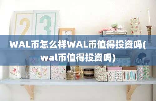 WAL币怎么样WAL币值得投资吗(wal币值得投资吗)