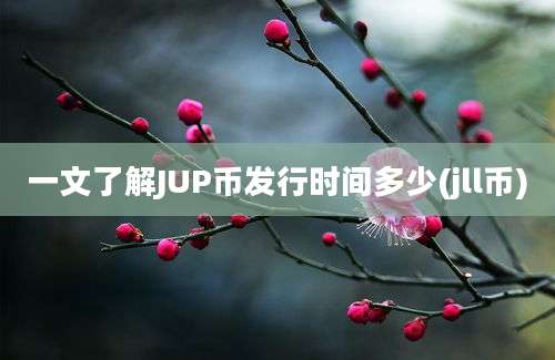 一文了解JUP币发行时间多少(jll币)