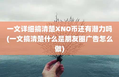 一文详细搞清楚XNO币还有潜力吗(一文搞清楚什么是朋友圈广告怎么做)