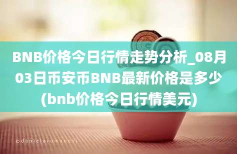 BNB价格今日行情走势分析_08月03日币安币BNB最新价格是多少(bnb价格今日行情美元)