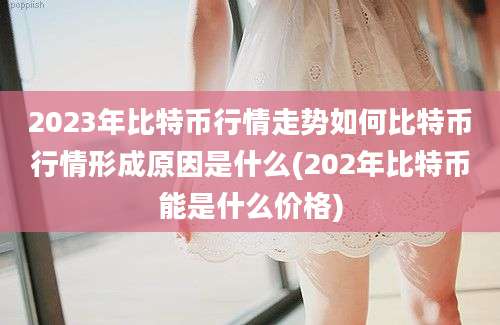 2023年比特币行情走势如何比特币行情形成原因是什么(202年比特币能是什么价格)