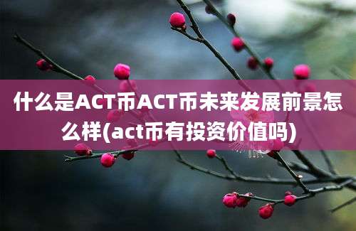 什么是ACT币ACT币未来发展前景怎么样(act币有投资价值吗)