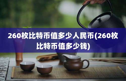 260枚比特币值多少人民币(260枚比特币值多少钱)