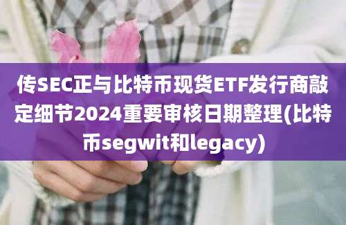 传SEC正与比特币现货ETF发行商敲定细节2024重要审核日期整理(比特币segwit和legacy)