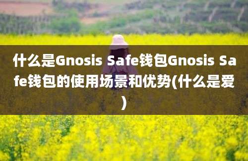 什么是Gnosis Safe钱包Gnosis Safe钱包的使用场景和优势(什么是爱)