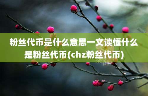 粉丝代币是什么意思一文读懂什么是粉丝代币(chz粉丝代币)