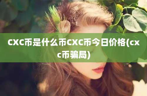 CXC币是什么币CXC币今日价格(cxc币骗局)