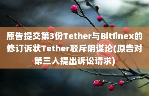 原告提交第3份Tether与Bitfinex的修订诉状Tether驳斥阴谋论(原告对第三人提出诉讼请求)