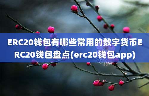 ERC20钱包有哪些常用的数字货币ERC20钱包盘点(erc20钱包app)