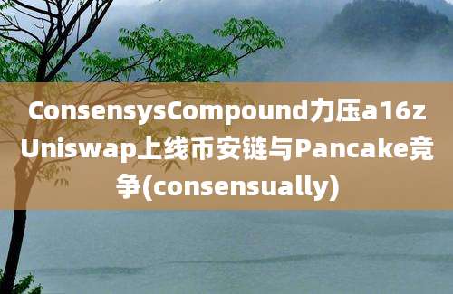 ConsensysCompound力压a16zUniswap上线币安链与Pancake竞争(consensually)