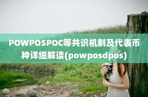 POWPOSPOC等共识机制及代表币种详细解读(powposdpos)