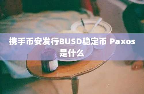 携手币安发行BUSD稳定币 Paxos是什么