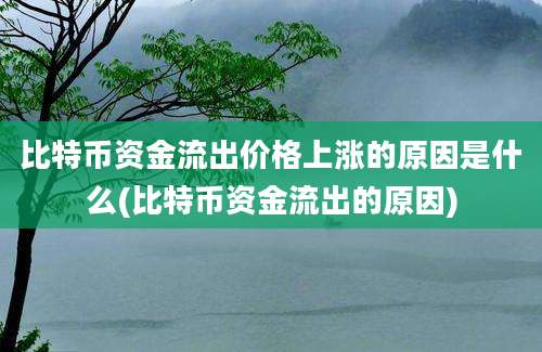 比特币资金流出价格上涨的原因是什么(比特币资金流出的原因)