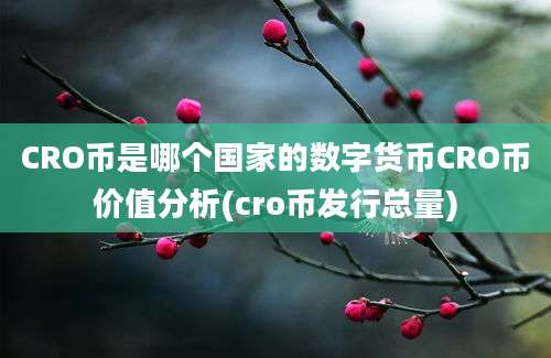 CRO币是哪个国家的数字货币CRO币价值分析(cro币发行总量)