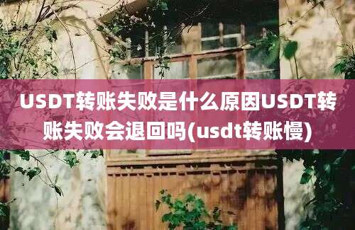 USDT转账失败是什么原因USDT转账失败会退回吗(usdt转账慢)