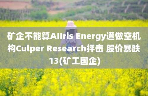 矿企不能算AIIris Energy遭做空机构Culper Research抨击 股价暴跌13(矿工国企)