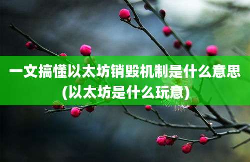 一文搞懂以太坊销毁机制是什么意思(以太坊是什么玩意)