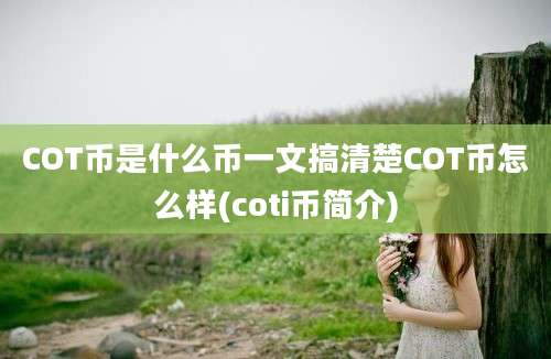 COT币是什么币一文搞清楚COT币怎么样(coti币简介)