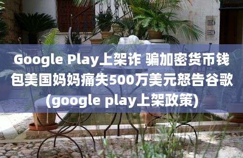 Google Play上架诈 骗加密货币钱包美国妈妈痛失500万美元怒告谷歌(google play上架政策)