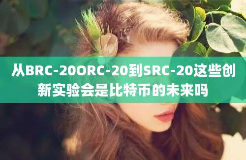 从BRC-20ORC-20到SRC-20这些创新实验会是比特币的未来吗