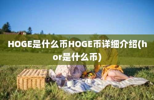 HOGE是什么币HOGE币详细介绍(hor是什么币)