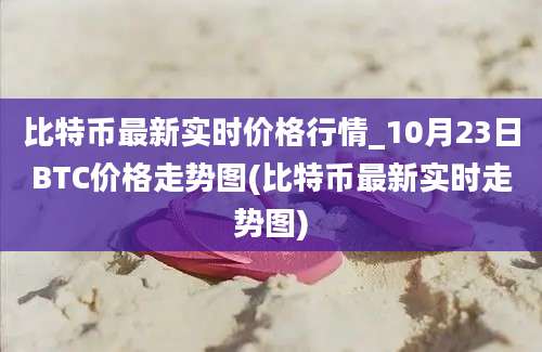 比特币最新实时价格行情_10月23日BTC价格走势图(比特币最新实时走势图)