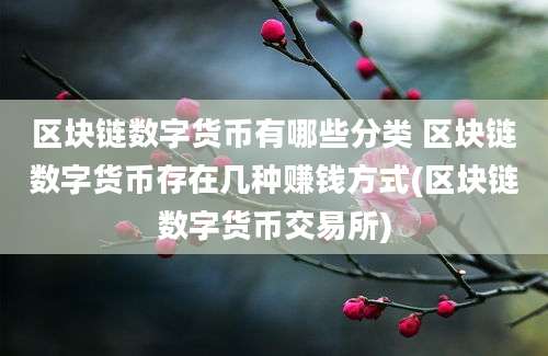 区块链数字货币有哪些分类 区块链数字货币存在几种赚钱方式(区块链数字货币交易所)