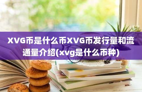 XVG币是什么币XVG币发行量和流通量介绍(xvg是什么币种)