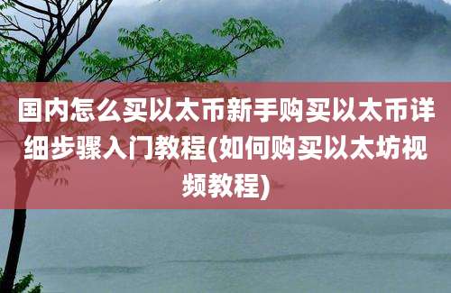 国内怎么买以太币新手购买以太币详细步骤入门教程(如何购买以太坊视频教程)